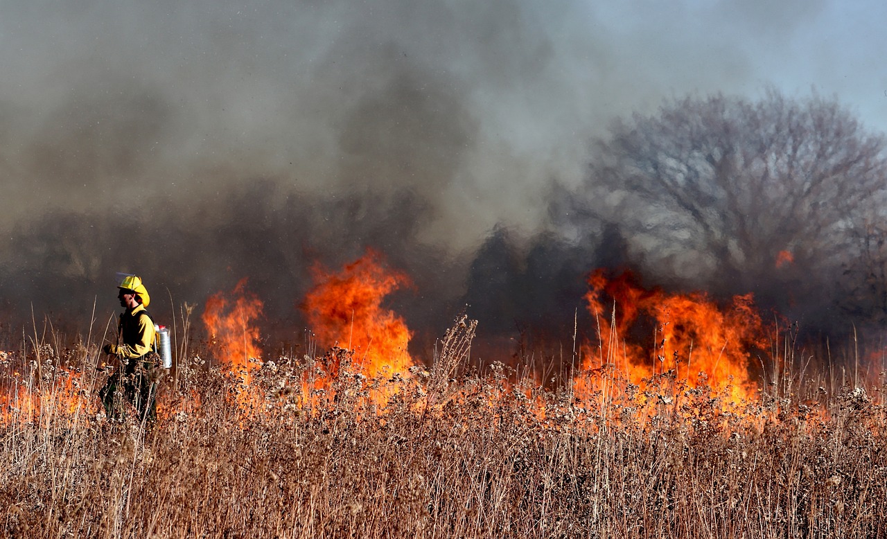 ALCHERA X Participates in National Wildfire Awareness Month.