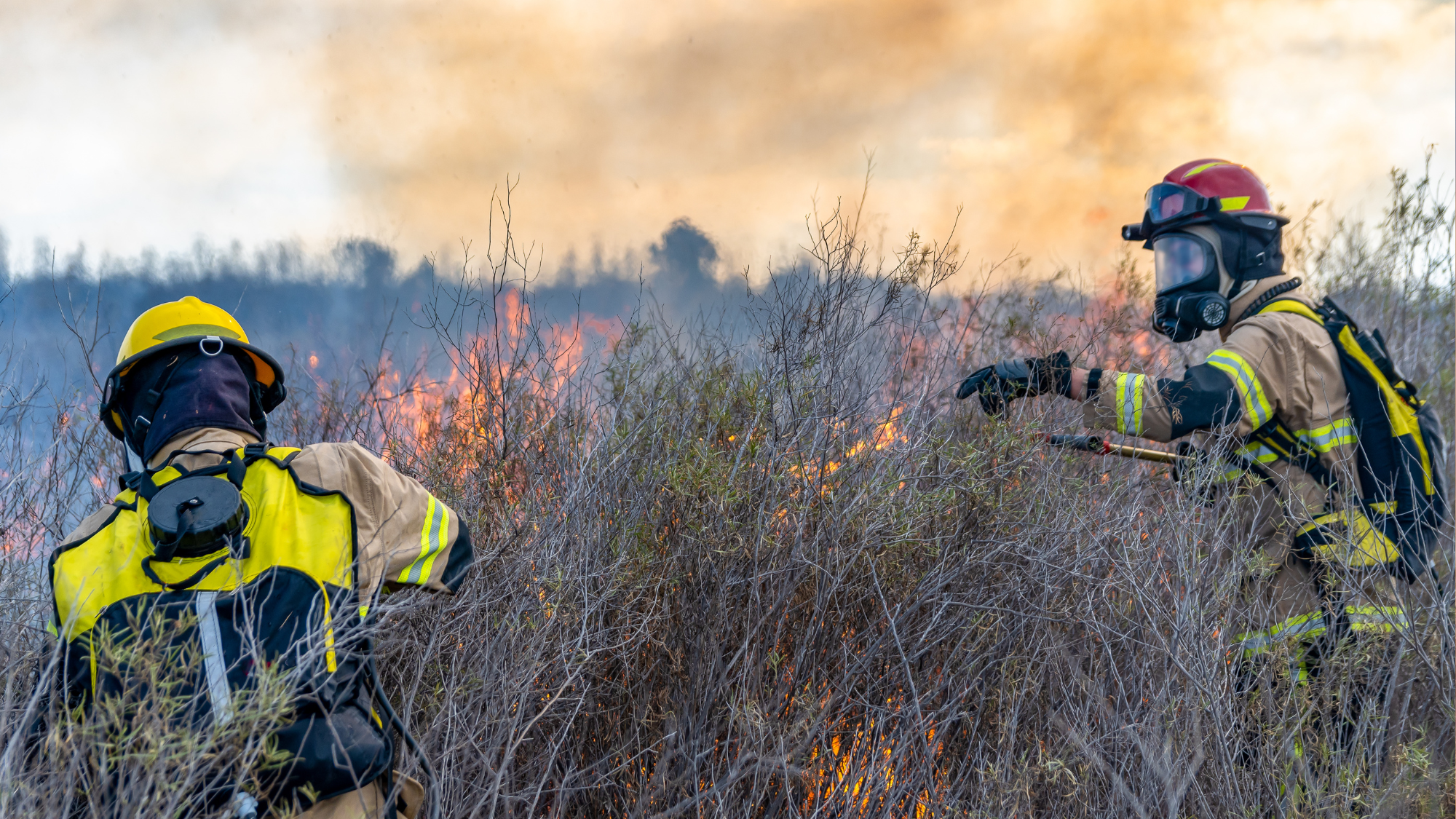 ALCHERA X Participates in the $11M XPRIZE Wildfire Competition Launch